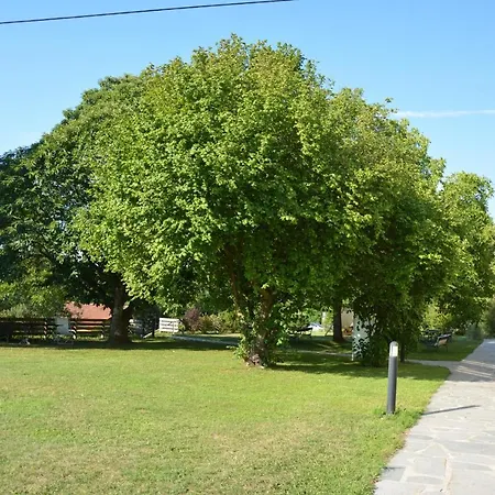 Waldheimat ホテル