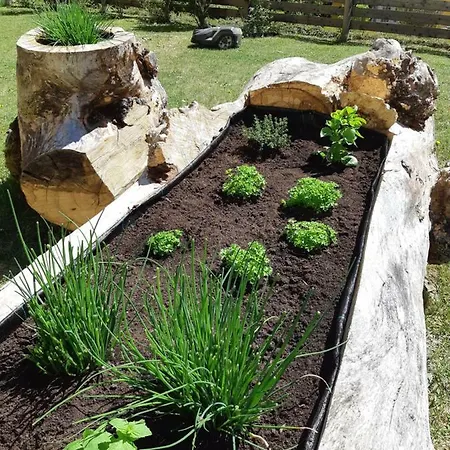 Waldheimat 2* Gallneukirchen