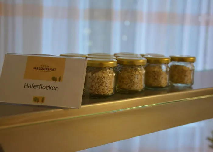 Otel Waldheimat Gallneukirchen