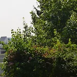 Waldheimat 2*