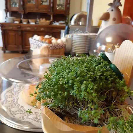 מלון Waldheimat 2*