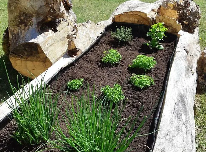 Waldheimat 2* Gallneukirchen